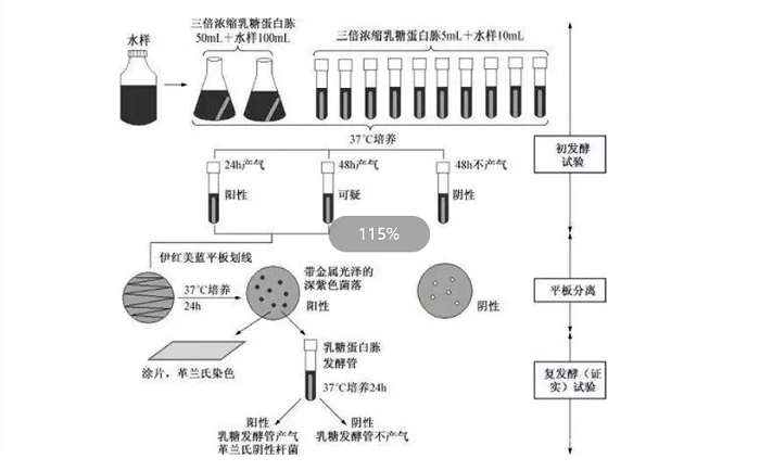 濾膜法測(cè)大腸菌群